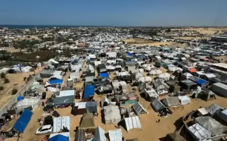 تل أبيب وواشنطن تبحثان العملية العسكرية برفح