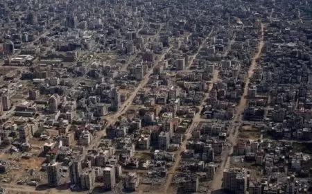 184 يوما للحرب على فلسطين