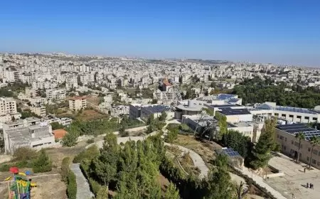 الطقس: جو صاف ولطيف