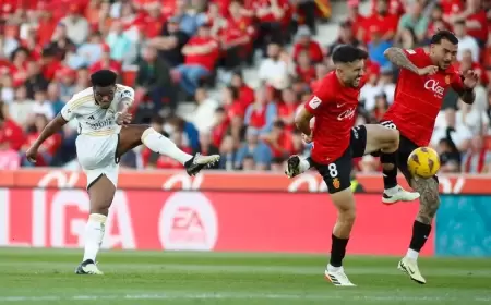 قبل قمة سيتي.. الريال يعبر مايوركا بقذيفة تشواميني