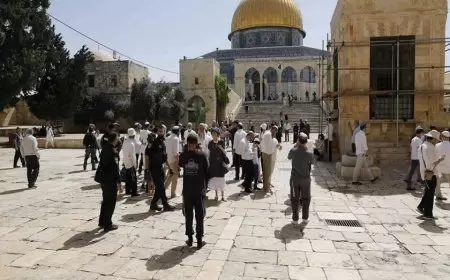 عشرات المستعمرين يقتحمون المسجد "الأقصى"