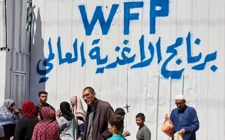 برنامج الأغذية: نحتاج لوقف إطلاق النار للتغلب على المجاعة بغزة