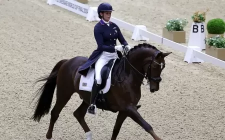 السبت.. ختام كأس العالم لقفز الحواجز والترويض