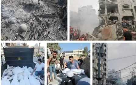 ارتفاع حصيلة الشهداء في قطاع غزة إلى 34049 منذ بدء العدوان