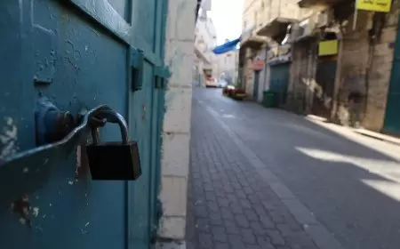 الإضراب الشامل يعم محافظات الوطن تنديدا بمجزرة مخيم نور شمس