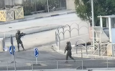 شهيدان برصاص الاحتلال شمال شرق الخليل