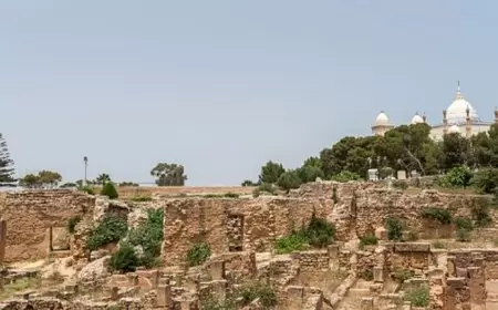 تونس.. استعادة قطع أثرية مسروقة تعود للحقبة الرومانية