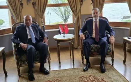 محللون مصريون يعلقون على لقاء شكري مع نظيره التركي وزيارة السيسي المرتقبة لتركيا