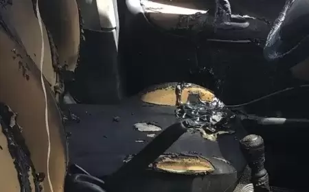 مستوطنون يحرقون مركبة ودفيئة زراعية في جنين