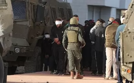 نادي الأسير: الاحتلال اعتقل 50 مواطنا بينهم جرحى خلال عدوانه على مخيم نور شمس