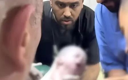 حدث في غزة.. أخرجوا "روحاً" حيّة من رحم أمها الميتة!