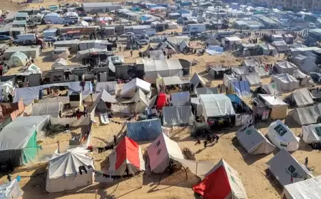 مصر .. أربعة بدائل دبلوماسية في التعامل مع تداعيات اجتياح رفح