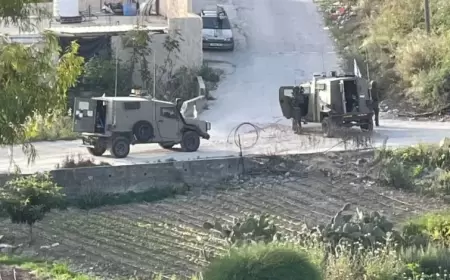 الاحتلال يقتحم بلدة عزون