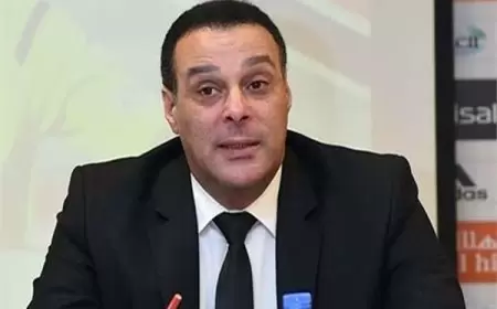 عصام عبدالفتاح: الحكم أغفل طرد تمبكتي