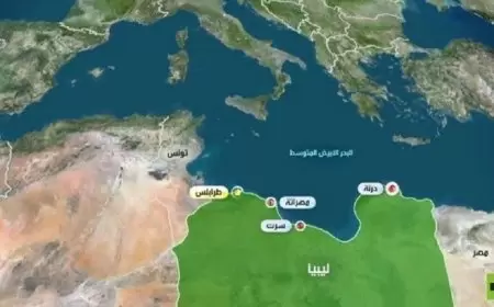 موقع فرنسي يكشف مستجدات قضية فساد تلاحق نجل رئيس وزراء ليبي في عهد القذافي بالمحاكم السويسرية