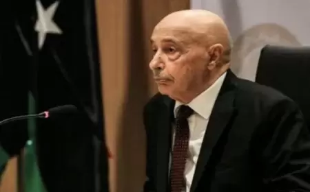 البرلمان الليبي يكشف عن جاهزيته لإجراء انتخابات رئاسية قبل نهاية العام