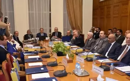 أبو الغيط أمام مجموعة السلام: مأساة غزة لا يمكن معالجتها إلا بإنهاء الاحتلال