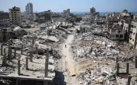 محدث:: 10 آلاف مفقود غير مدرجين في إحصائية الشهداء منذ بدء العدوان