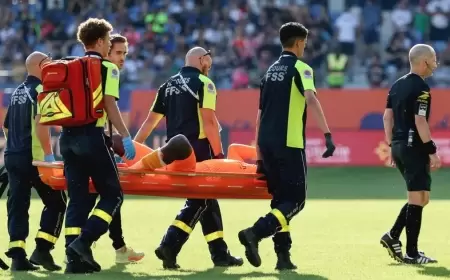 "ألعاب نارية" تكلف مشجعي مونبيلييه مليون يورو