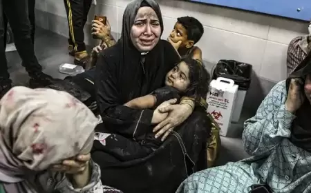 الأونروا: العدوان على غزة مستمر كحرب على النساء