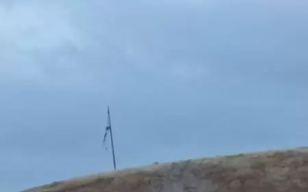 مستعمرون يقتحمون تل الحمة في الأغوار الشمالية