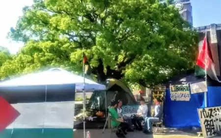 جامعات اليابان تنتفض لوقف الحرب في غزة