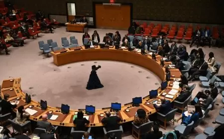 الجمعية العامة للأمم المتحدة تصوت على الاعتراف بدولة فلسطين الجمعة المقبل