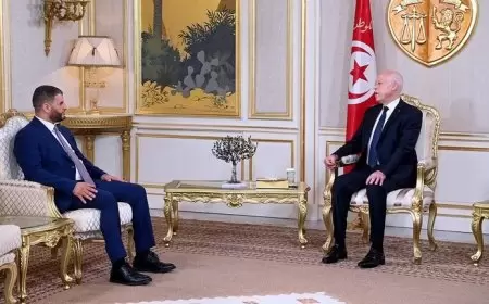 الرئيس التونسي ووزير الداخلية الليبي يناقشان تأمين الحدود وفتح معبر رأس جدير