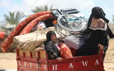 "الأونروا": الاحتلال هجرّ قسرياً نحو 80 ألف فلسطيني من رفح