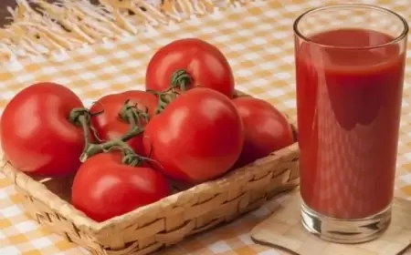 بينها الحنظل.. 5 خيارات لعصائر تناسب مرضى السكري