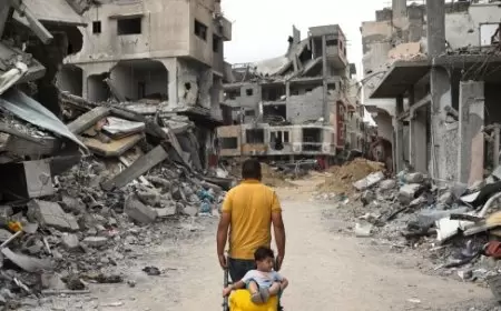 219 يوما للحرب على فلسطين