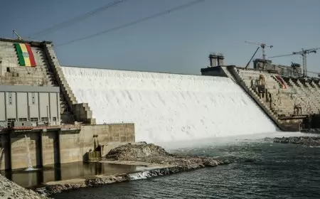 "أراد الله أن تظل حصة مصر في حمايته ورعايته".. خبير مياه يكشف عن "مفاجأة سارّة" بشأن سد النهضة