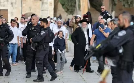 مستوطنون يقتحمون المسجد الأقصى