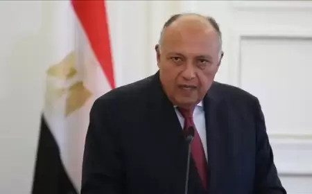 مصر: اتفاقية السلام مع إسرائيل خيار استراتيجي ولها آليات لبحث المخالفات