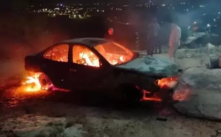 نابلس: مستوطنون يهاجمون منزلا ويحرقون مركبة في جالود