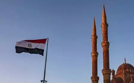 الأزهر يرحب باعتزام مصر التدخل لدعم دعوى جنوب إفريقيا ضد إسرائيل في محكمة العدل الدولية