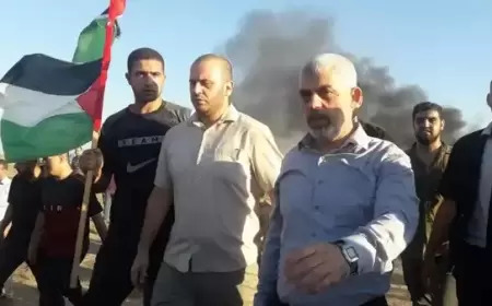 نسفت مزاعم إسرائيل.. الاستخبارات الأميركية تنفي وجود قادة حماس برفح