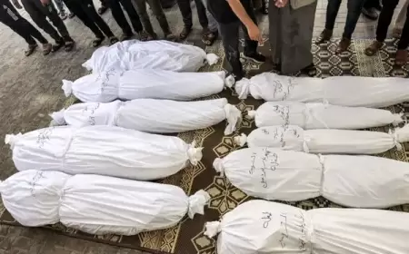 "صحة غزة": 57 شهيداً و82 مصاباً خلال 24 ساعة الماضية