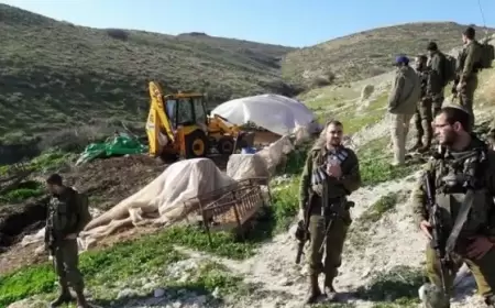 الاحتلال يعتدي على مزارعين ويمنعهم من العمل في أراضيهم ببيت لحم