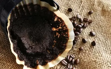 علماء يكتشفون استخداماً عملياً مذهلاً لتفل القهوة