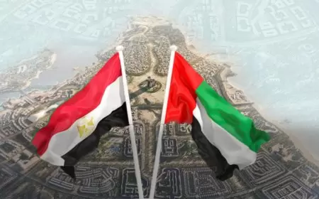 خبير يعلق على صفقة كبرى مع الإمارات فتحت شرايين الاقتصاد المصري وشهية دخول الأموال الساخنة