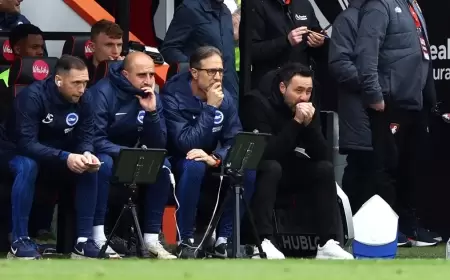 دي زيربي يأمل بالعمل في الدوري الإنجليزي مجدداً