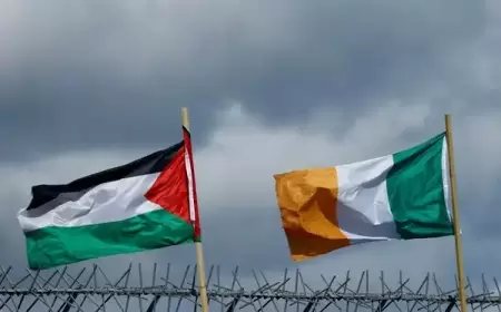 إيرلندا تعتزم الاعتراف بدولة فلسطين الشهر الجاري