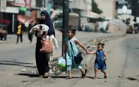 الأونروا: نزوح 810 آلاف مواطن من رفح خلال أسبوعين