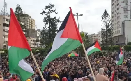 القوى الوطنية والإسلامية تدعو إلى تضافر الجهود لوقف جرائم الاحتلال