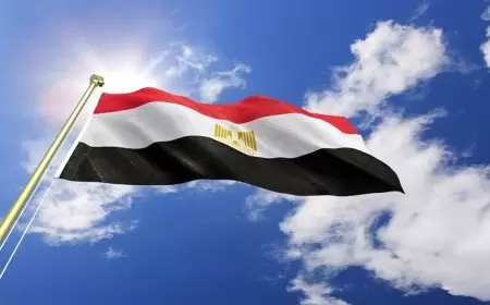 مصدر: احترام مصر لمعاهداتها لا يمنعها من استخدام كافة الخيارات للحفاظ على أمنها القومي