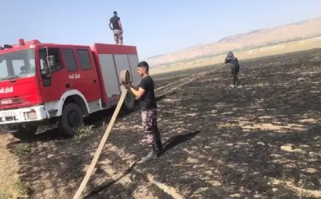 الاحتلال يتسبب باحتراق مساحات من الأراضي في الأغوار الشمالية