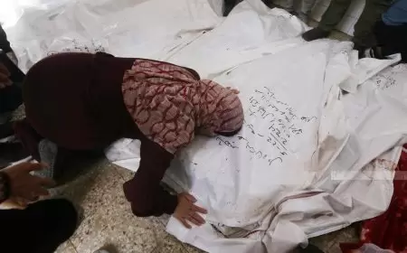 17 شهيدا بينهم 10 أطفال في غزة ورفح