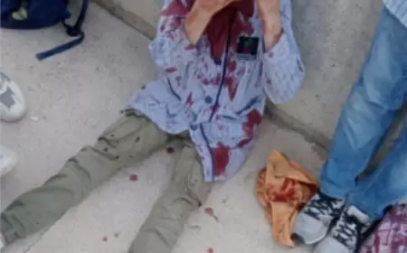 شهيد واصابة طلبة في قصف مسيرة إسرائيلية مركبة مدنية جنوب لبنان