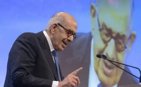 مصر.. البرادعي يوجه سؤالا إلى الدول العربية بمناسبة قرار محكمة العدل حول إسرائيل